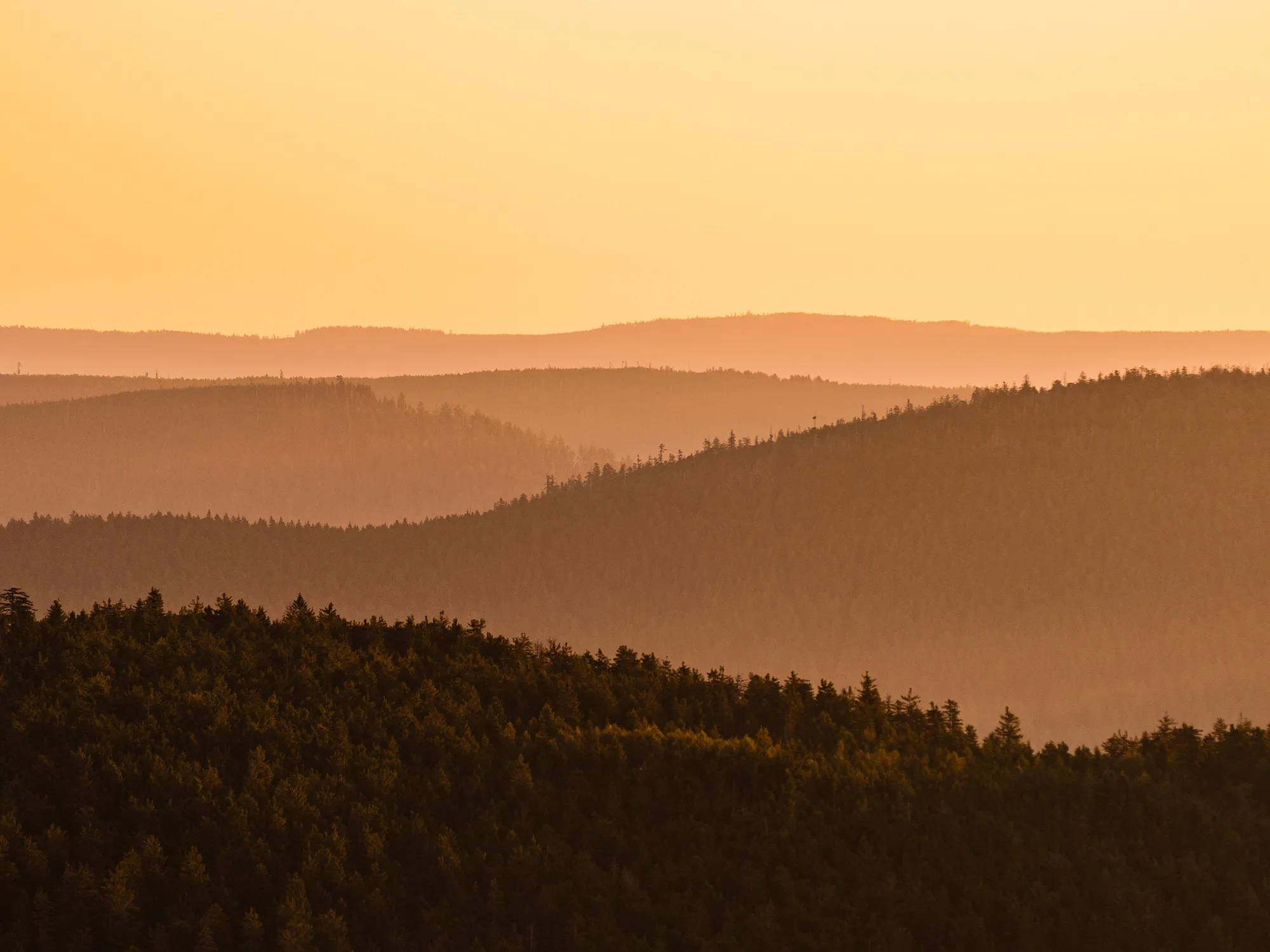 Descriptive alternative text