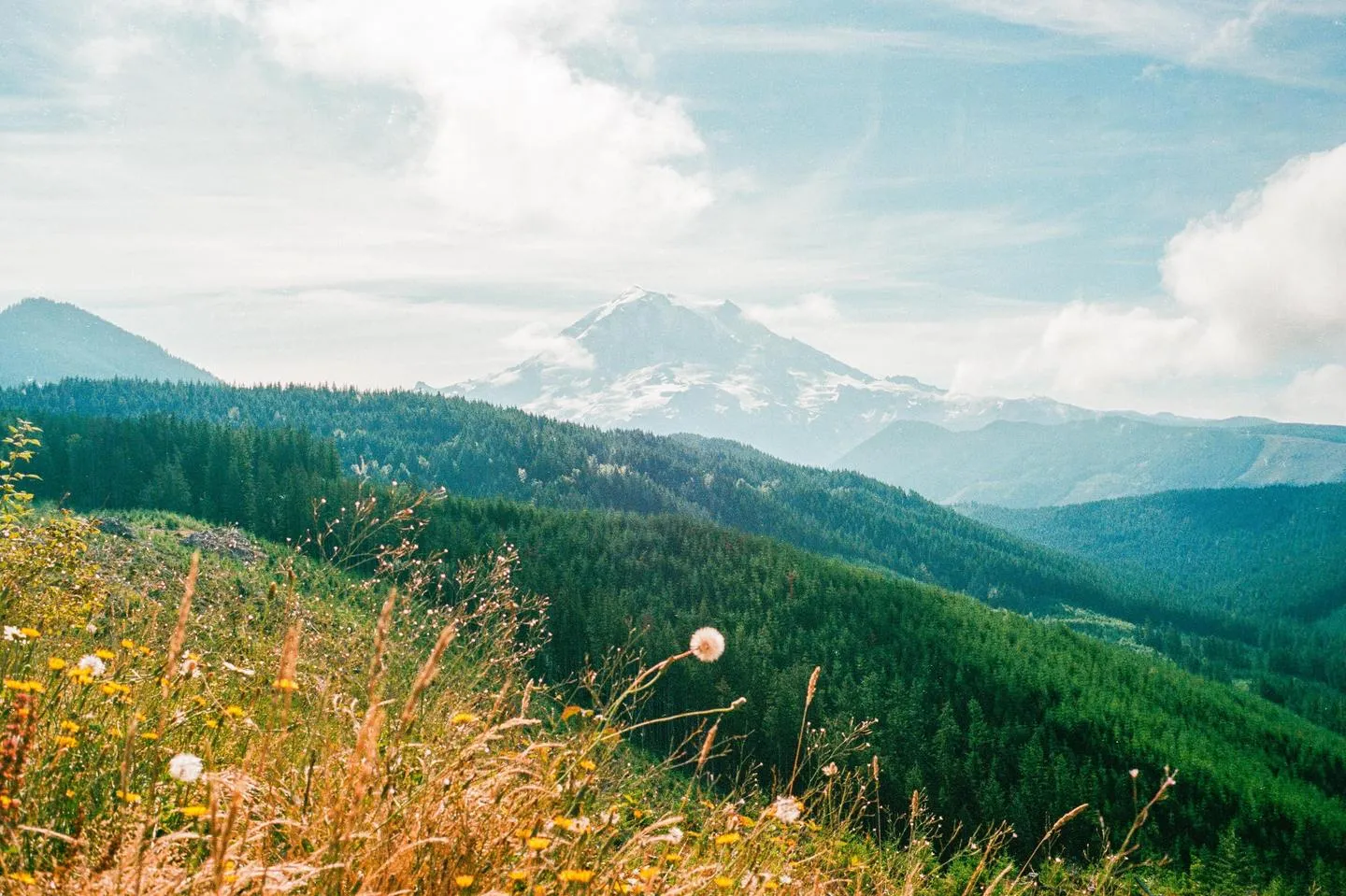 Descriptive alternative text